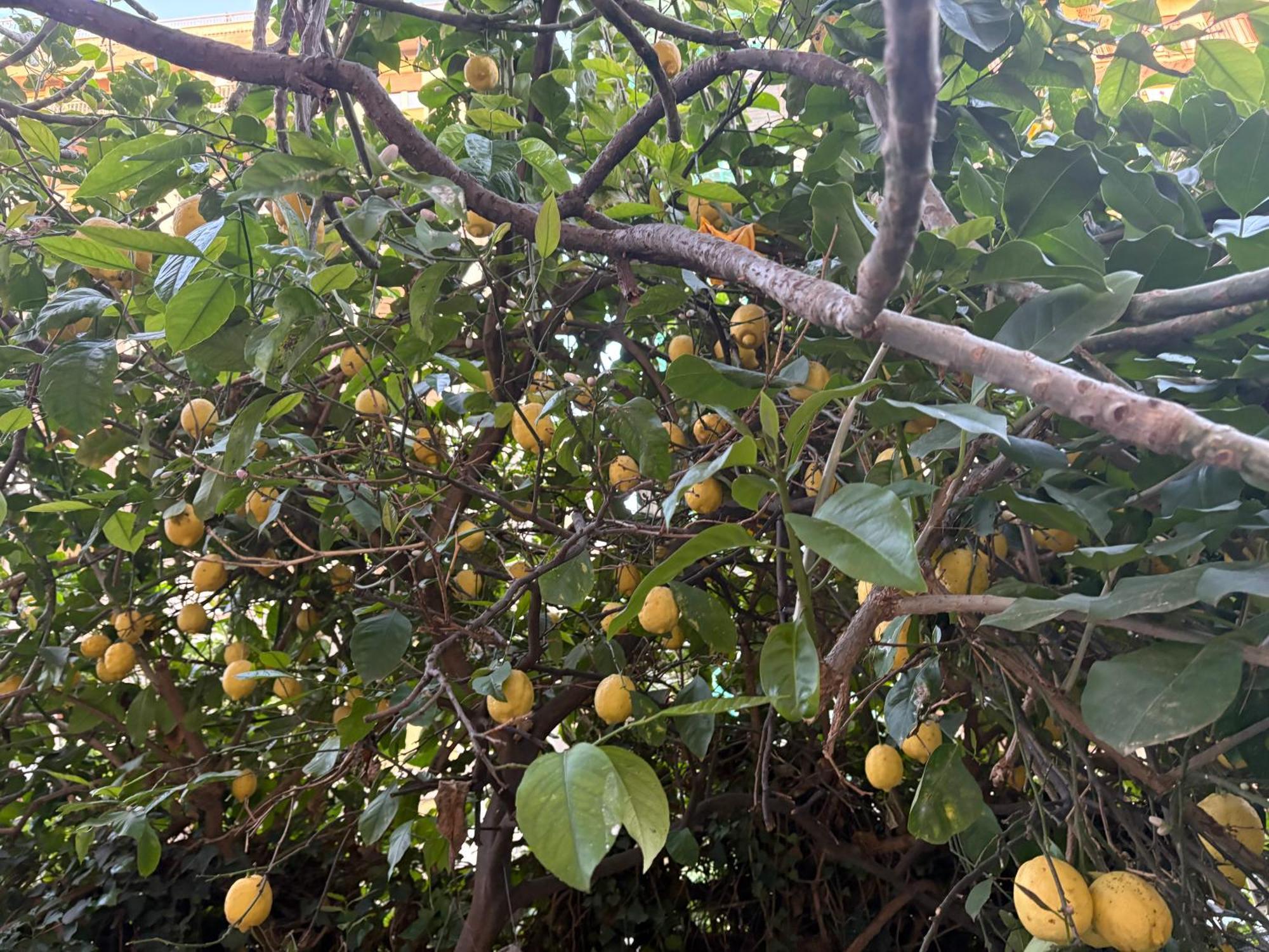 Penelope B&B Palermo Ngoại thất bức ảnh