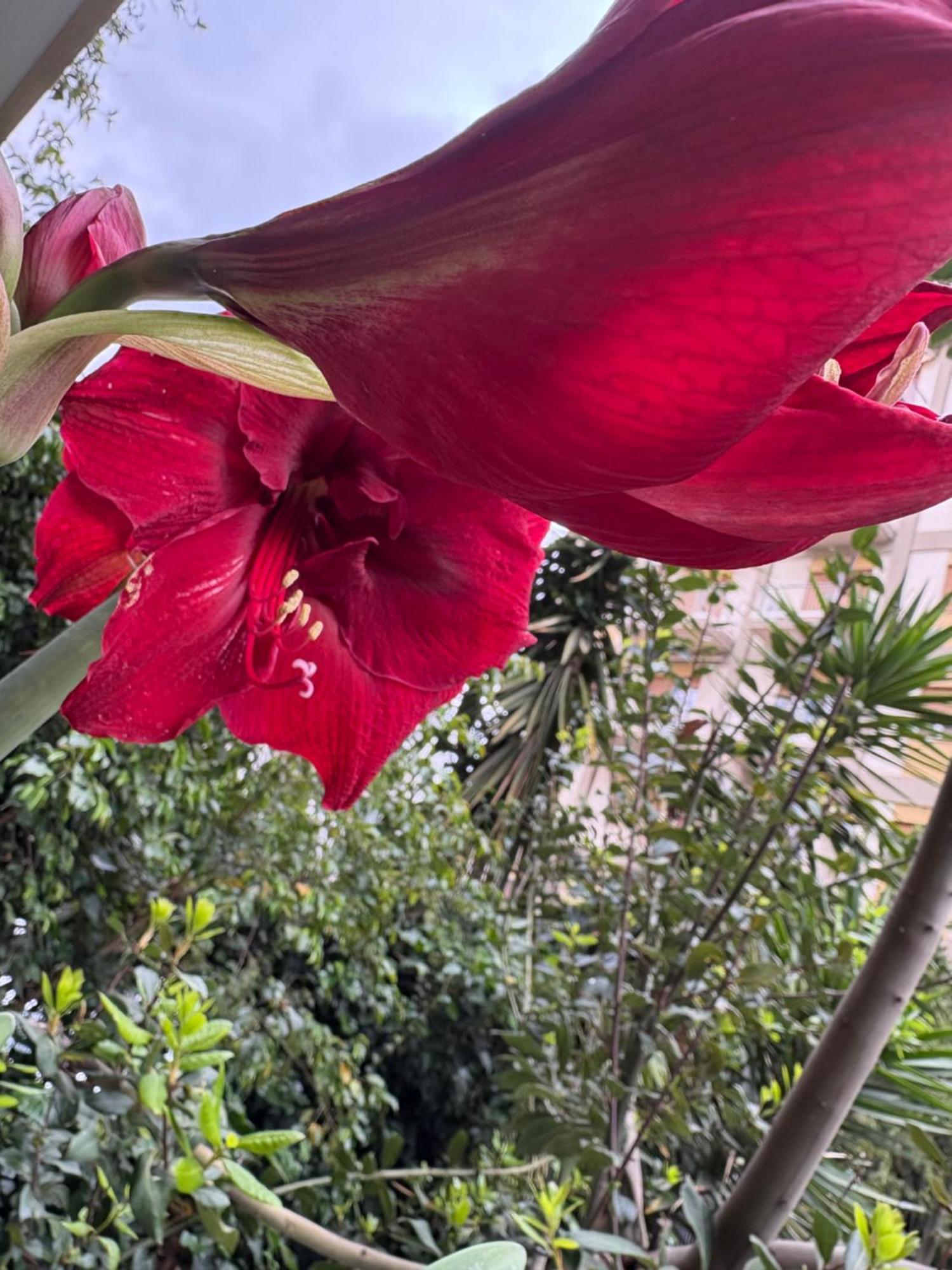 Penelope B&B Palermo Ngoại thất bức ảnh