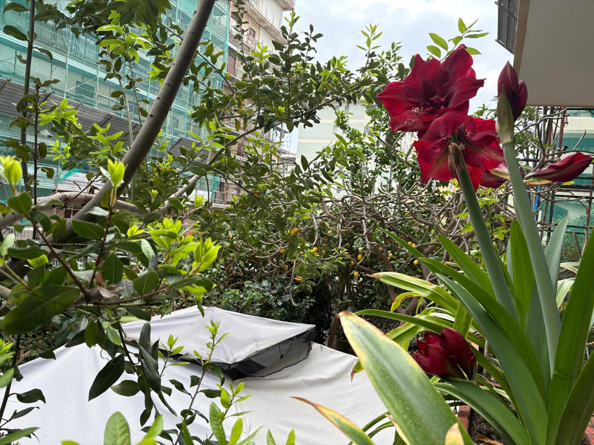 Penelope B&B Palermo Ngoại thất bức ảnh