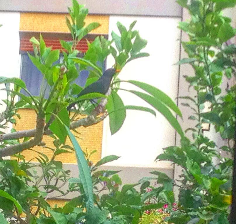 Penelope B&B Palermo Ngoại thất bức ảnh