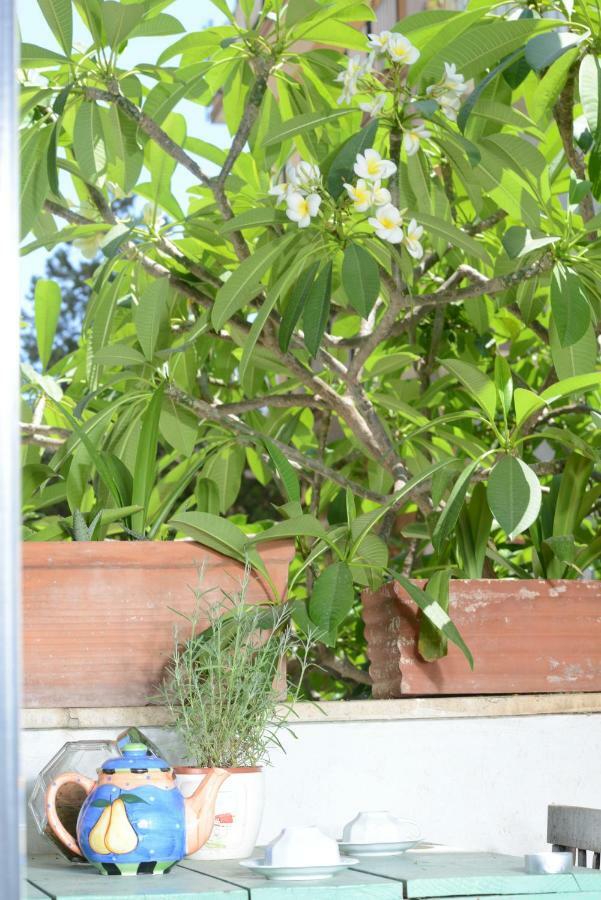 Penelope B&B Palermo Ngoại thất bức ảnh